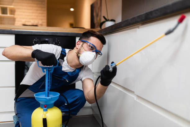 Best Pest Control Treatment  in Covina, CA