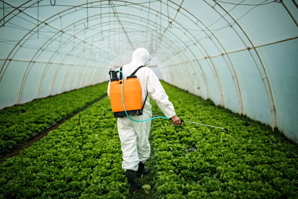Best Pest Control Near Me  in Covina, CA