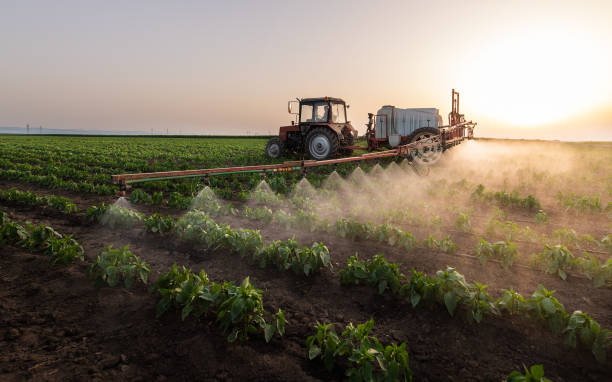 Pest Control Cost in Covina, CA