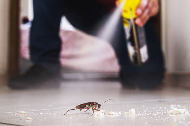Best Commercial Pest Control Services  in Covina, CA