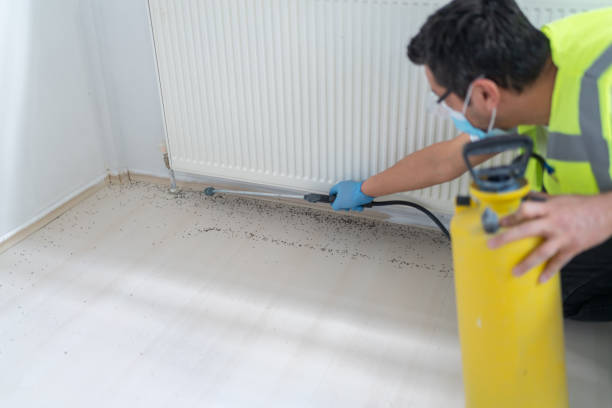 Best Wildlife Control Services  in Covina, CA